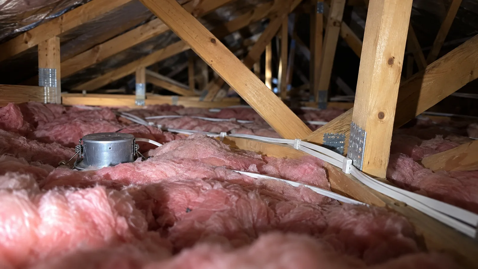 TPS cables run across ceiling insulation in a New Zealand roof space.